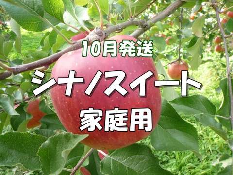 家庭用】シャキッ！甘～い！シナノスイート 約10kg 信州りんご：長野県