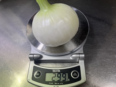 農薬不使用　新玉ねぎ（3kg）【農薬・化学肥料・除草剤不使用】