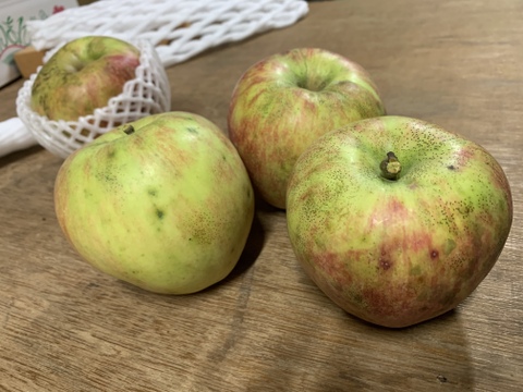 お試し！農薬、肥料、除草剤不使用栽培りんご（シナノスイート）1kg箱満杯詰