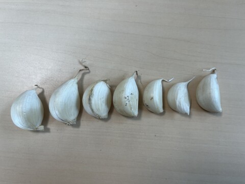 【最安値❣】【にんにく】自然にできた×ヴィーガンピュア　バラ1kg