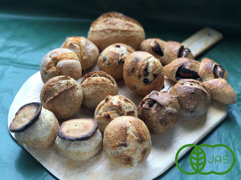 【超貴重な有機JAS認証パン】パンセット⑮：麦の栽培から一貫生産　自然栽培小麦のみ使用した小さなフランスパンセット