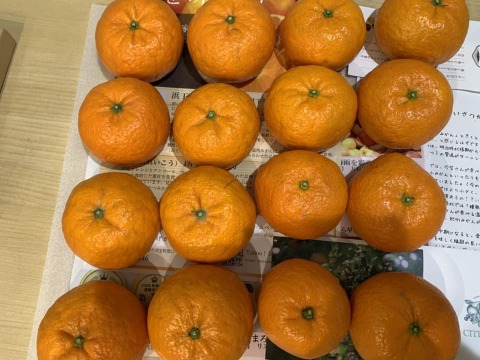 プチプチ食感　浜王(はまおう)みかん　唐津産（ハウス栽培）2.5㎏