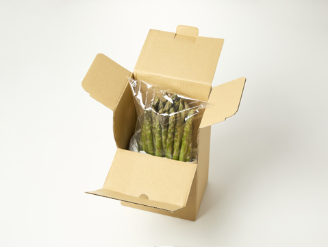 鮮度抜群！那須高原アスパラ太め900g