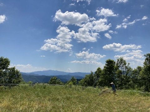 希少　高冷地栽培　小麦粉　中強力粉　農薬化学肥料不使用　熊本県産　3kg