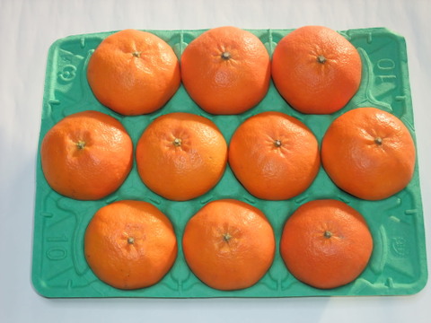 プチプチ甘～い！ひめまる甘平【特秀・贈答用３Kg】