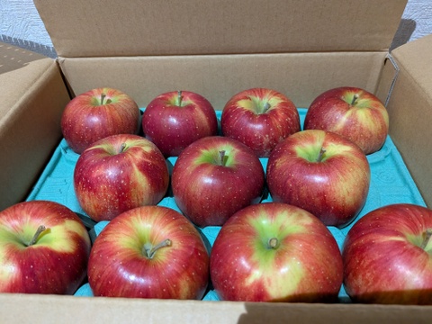 綺麗な葉とらずシナノスイート 3キロ箱 7～11玉