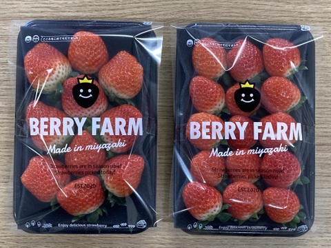 香り豊か！有機いちご「あまおとめ」500g