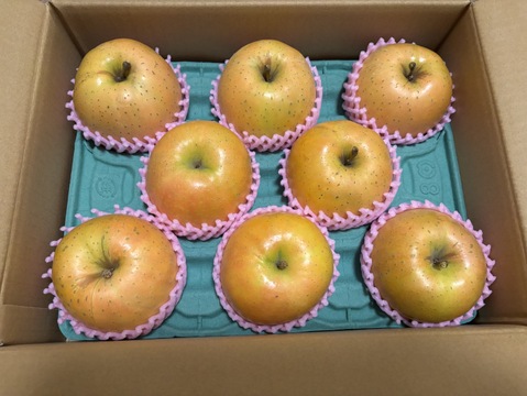 終わります🍎【幻の林檎】NEWすっぱい系！ なかののきらめき 3キロ箱 6玉〜15玉サイズ ID173708 長野県 信州 安曇野 リンゴ 幻 幻のリンゴ 予約 希少 旬