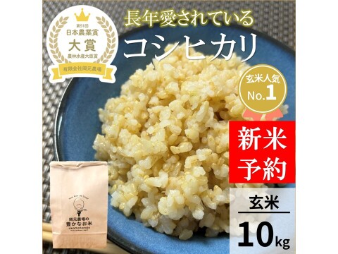 在庫８！日本一美味しい米コンテスト入賞農家！希少品種コシヒカリを越えた凄いお米！ 日本農業賞大賞受賞 令和8年産コシヒカリ10キロ玄米：石川県産のお米