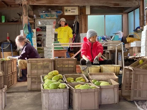 静岡県産 三ヶ日みかん［4kg］｜お歳暮・冬ギフト・スイーツ