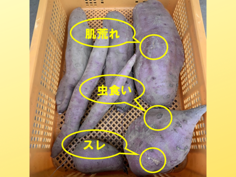 国産【茨城県産】さつまいも べにはるか 3kg 訳あり