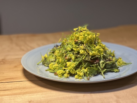 旬の野菜を堪能できる。朝採れ自然栽培野菜セット　５～７種類　約１～２kg