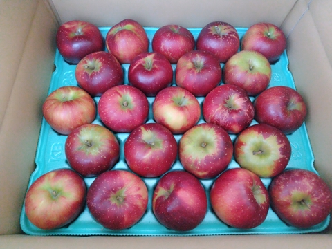 青森りんご秋映🍎家庭用約4.5Kg🍎青森県産　数量限定