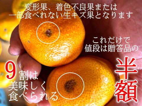 【即日発送】【訳ありハウスみかん】たっぷり大容量！驚きの価格！甘～い美味しさをキンキンに冷やしてご家庭で！贈答品の半額以下！ 蜜ツ星　訳あり品　約4.5kg＋500g（傷み補填分）【商品番号31-5】