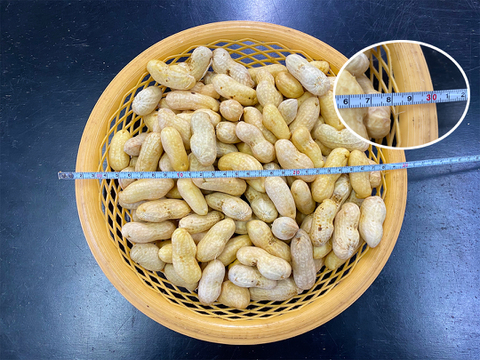大人気!令和3年”茹でらっか”専用落花生「おおまさり1kg」