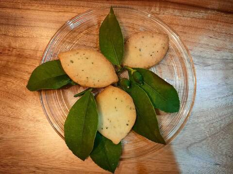 【あなたの新しい調味料へ】香り高い「レモンの葉」