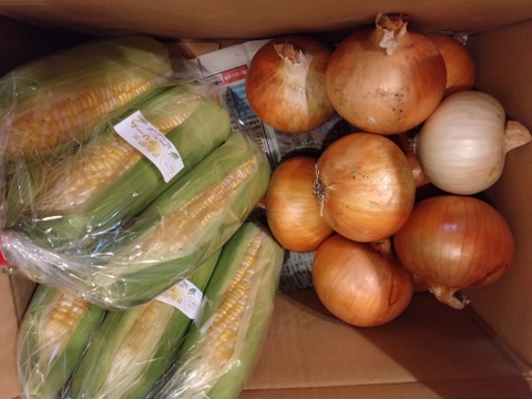 淡路島産トウモロコシと完熟玉ねぎキラ玉のセット！