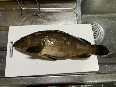 一本釣り、カゴ漁　鮮魚ボックス　3k