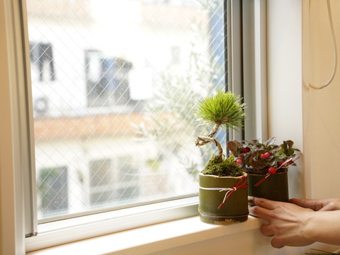 ミニ盆栽【チェッカーベリー✖️竹筒】高さ15cm × 横14cm