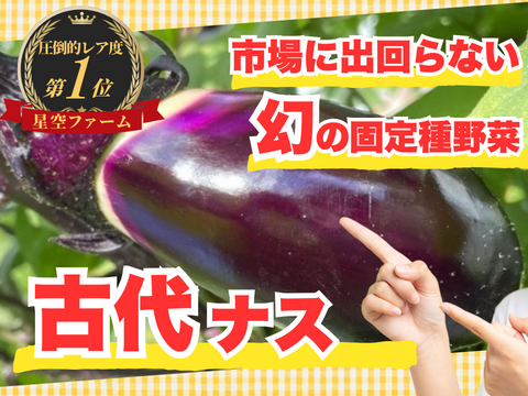 🍆ポリフェノールの宝庫古代ナス🍆食べて美味しい×美容成分の一石二鳥☆古代種ブランド野菜【農薬不使用】【化学肥料不使用】【品種改良なしの固定種野菜】🍆2026年8月上旬予約🍆