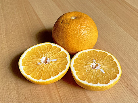 和歌山産】はっさく10キロ ★ほろ苦甘のクセになる美味しさ！とってもジューシー！