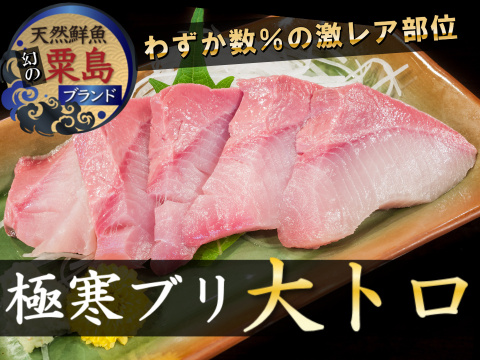 🐟冬ギフト🐟⚠これで締め切りラストチャンス⚠今逃したら1年待ちの極寒ブリ"大トロ"刺身＆ブリしゃぶ用【2月中下旬発送】最上ランク個数限定約180g