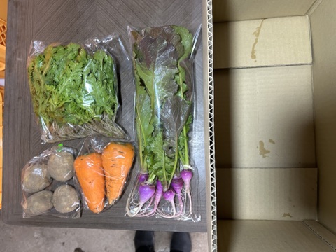 【自然栽培】4品目お試し旬のお野菜セット