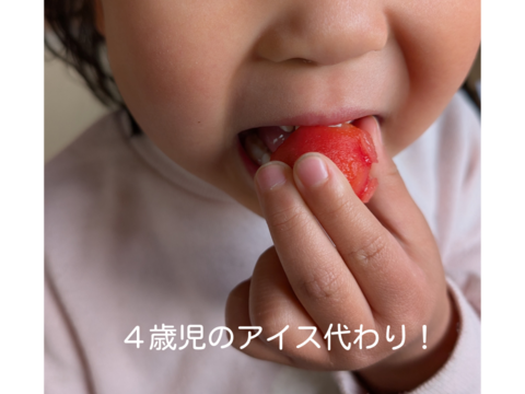 旬をそのまま！「Frozen cherry tomatoes」加工・調理用ミニトマト　クール便１kg