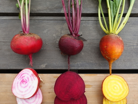 はじめてのお試ししおこぶ野菜セット（6種）