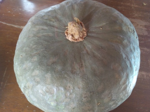 カボチャ　大（ハーフ）