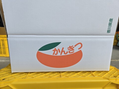 ★秀品！！　石地みかん　10kg　香川県産