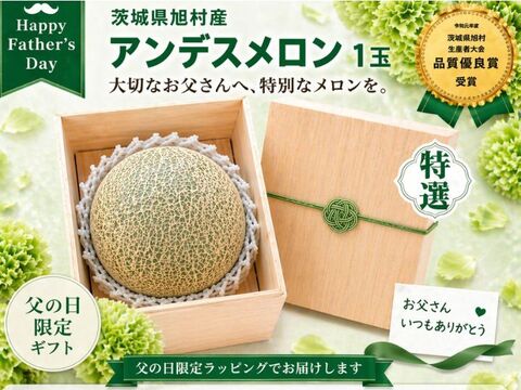 【桐箱入りギフト】茨城県旭産アンデスメロン【特秀】1玉