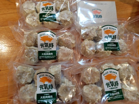 ゴロっとした1個50gのビッグ焼売！元気豚 大粒肉焼売セット【300g（50g×6個入）×5パック】