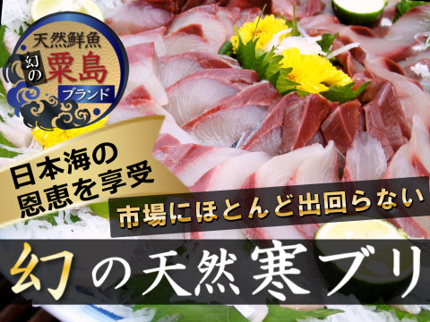 🐟冬ギフト🐟⚠最後のチャンス⚠1年待ち粟島ブランド人気№1寒ブリ手に入れるラストチャンス！日本海ブランド"天然国産"活き〆寒ブリ刺身＆ブリしゃぶ用【2月中下旬発送】お試し特価キャンペーン約350g