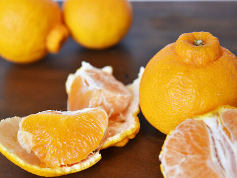 【ご予約受付中】不知火(デコみかん)【家庭用(訳あり)】10kg　322-4