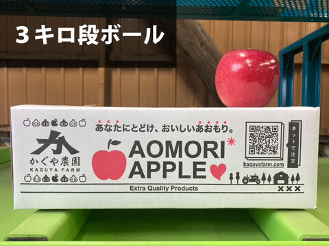 【毎年１万箱以上売れてます】約３キロ 青森県産りんご「樹上完熟葉とらずふじ」通常用厳選品