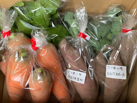 完売御礼【自然栽培】旬の野菜❗ 2月のおまかせセット（5品目・2kg）