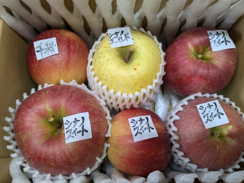 信州りんご🍎おためしサイズ約1.8キロ(5～9個)