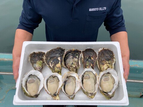 ㊗️4366件‼️突破特別価格‼️【超極濃プレミアム生食用岩牡蠣】超々特大サイズ10個×2箱　お客様に「ありがとう」と「美味しさ」を長崎県五島列島よりお届けいたします。