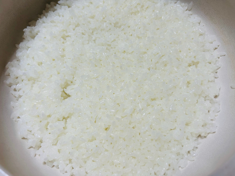 【新米】あきたこまち 10kg