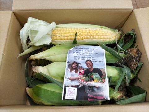 [超プレミア]北海道産！濃厚極甘とうもろこし12本🌽スイートコーン　訳あり