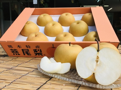 ✨厳選大玉✨甘い果汁ジュワ‼️熊本県産あきづき梨2玉(約1.3kg)