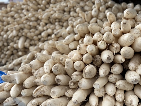 【秋田の晩酌セット】〜燻しの深みを2通りで〜いぶりがっこ2点セット