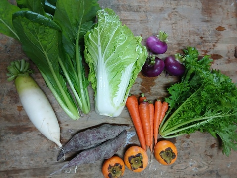 根っこ農園　自然風味お野菜セット