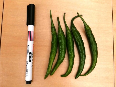 南部大長とうがらし（大辛）200g