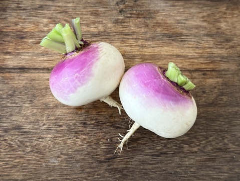 甘くてジューシー ミラノかぶ 約1.8kg