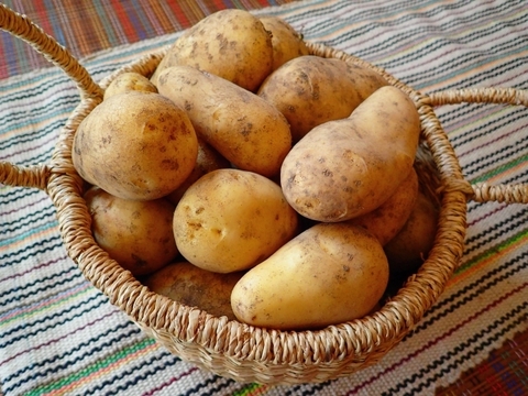 ★じゃがいもLOVERへおすすめ！★
じゃがいも好きのための おまかせ2種食べ比べセット（合計5キロ）