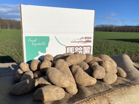 北海道の越冬ジャガイモ！『メークイン』！(5kg)
