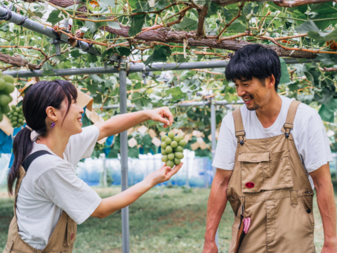 パリッとジューシー！香り弾ける！『シャインマスカット』（２房/合計約１.２kg）【贈答・ご褒美】