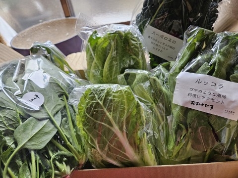 【箱いっぱいにお届け！】農薬化学肥料不使用キラピカ旬野菜BOX7〜8品品農の島＊大三島＊よりお届け！